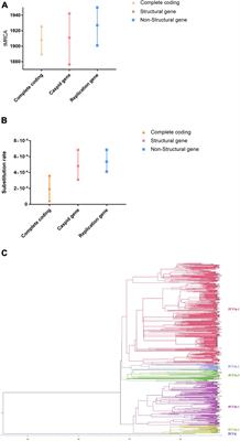 Reconstruction of the Evolutionary Origin, Phylodynamics, and Phylogeography of the Porcine Circovirus Type 3